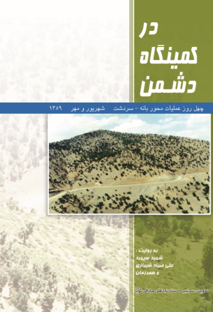 در کمینگاه دشمن