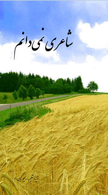 شاعری نمیدانم